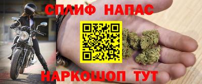 индика Бузулук