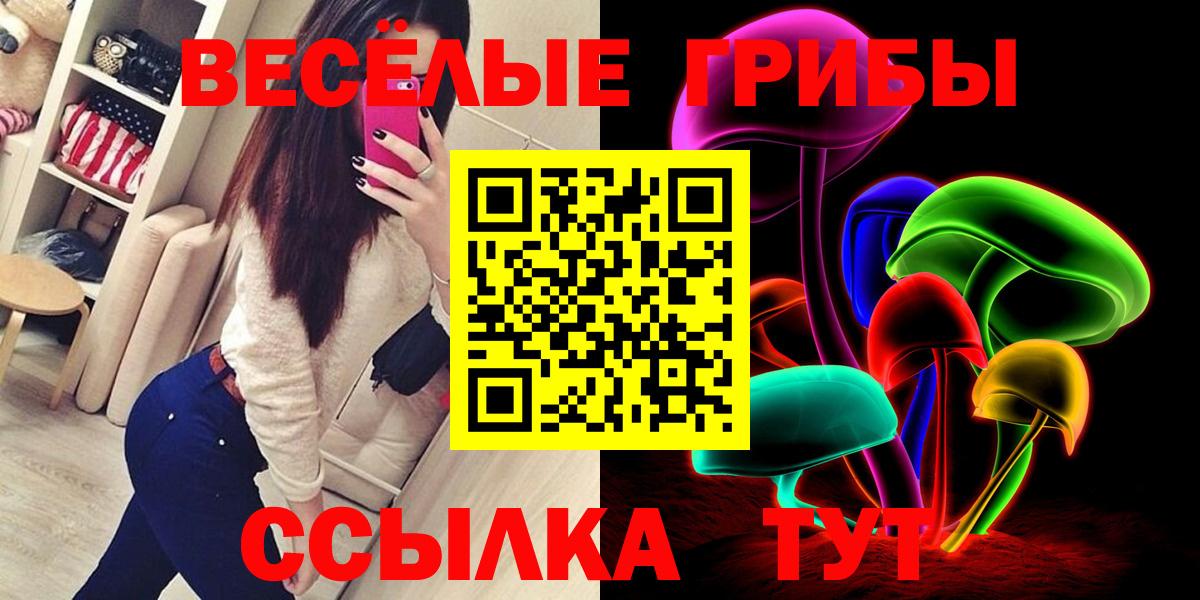 Галлюциногенные грибы Psilocybine cubensis Ростов-на-Дону